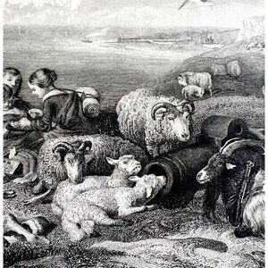 Peace Sir Edwin Landseer Steel Engraving 1859 Victorian Seaside Farm Art DWY5C
